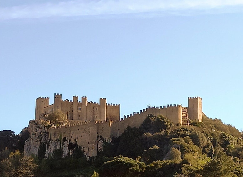 Picture 3 for Activity Óbidos and Caldas da Rainha Tour