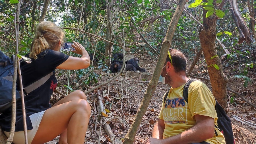 CHIMPANZEES TREK