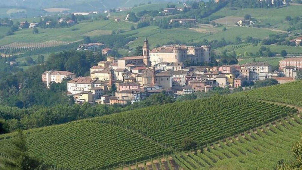 Picture 2 for Activity Costigliole d'Asti: Guided Walking Tour with Wine Tasting