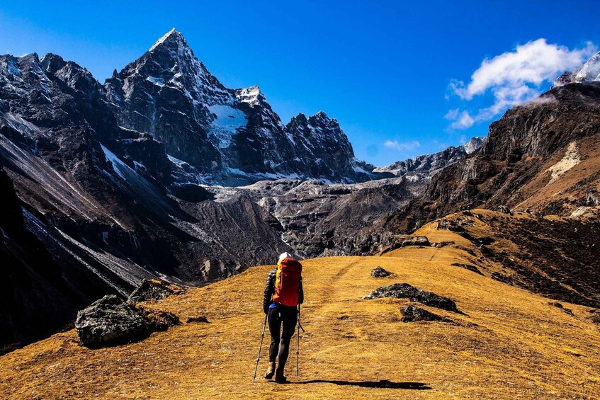 Picture 5 for Activity Best of Nepal Tour - 10 days Exclusive