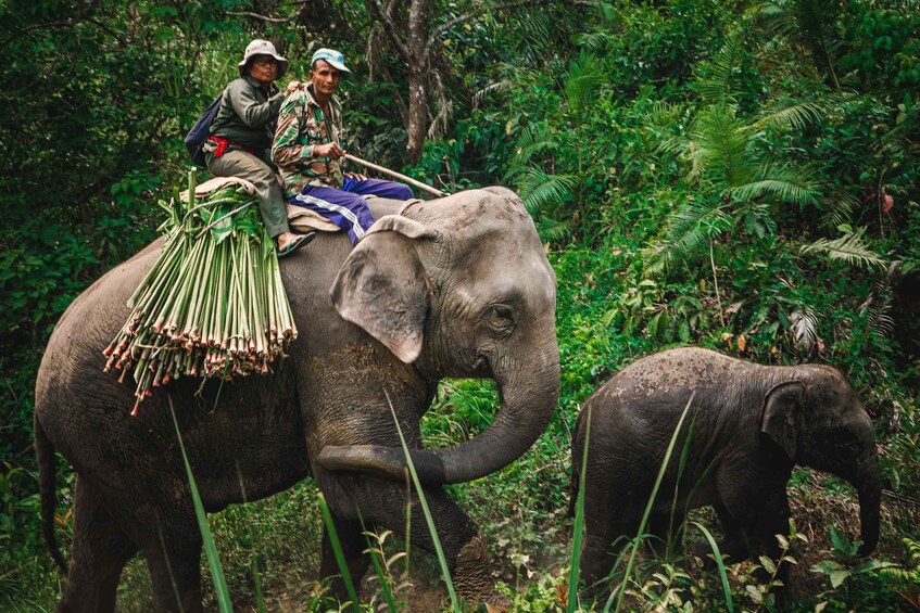 Picture 2 for Activity Best of Nepal Tour - 10 days Exclusive