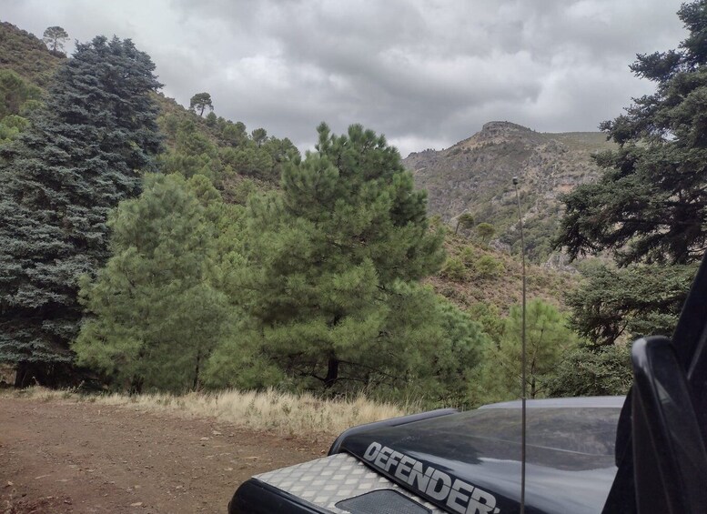 Picture 1 for Activity Tolox: Sierra de las Nieves National Park Private 4x4 Tour