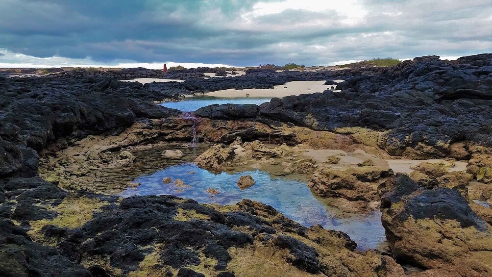 Picture 2 for Activity Fuerteventura: Trekking Tour Through the North of the Island