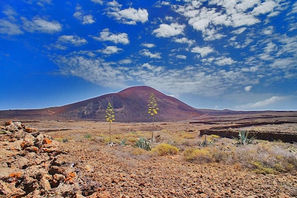 Fuerteventura: tour di trekking nel nord dell'isola