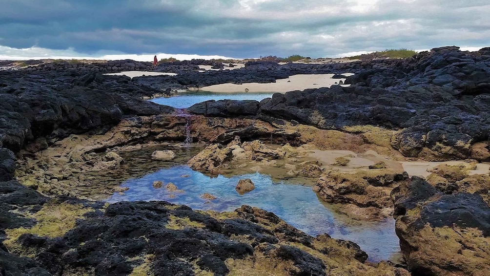 Picture 2 for Activity Fuerteventura: Trekking Tour Through the North of the Island