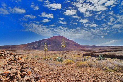 Fuerteventura: tour de senderismo por el norte de la isla