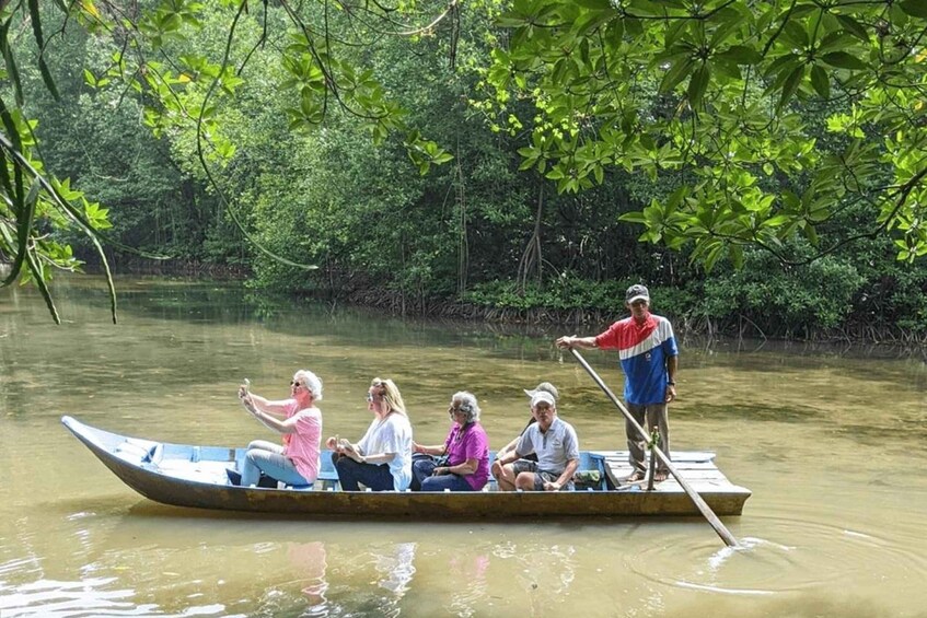 Picture 2 for Activity From Ho Chi Minh: Can Gio Mangrove Forest & Monkey Island