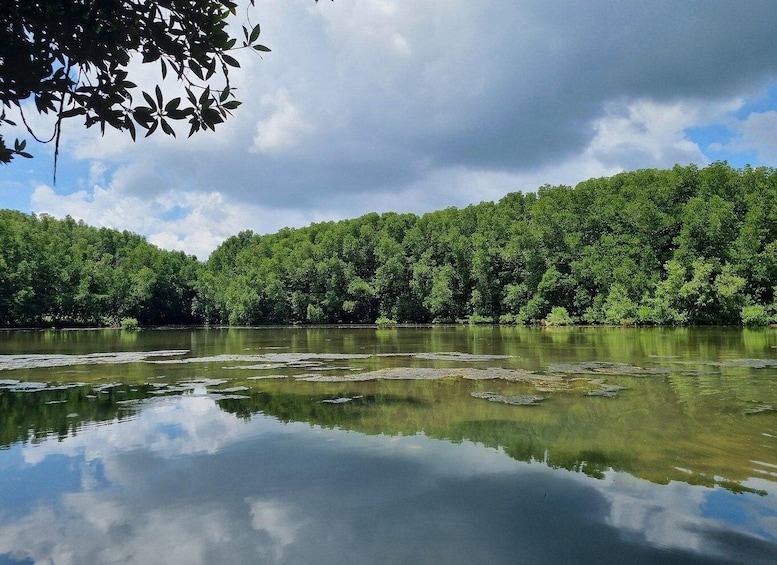 Picture 4 for Activity From Ho Chi Minh: Can Gio Mangrove Forest & Monkey Island