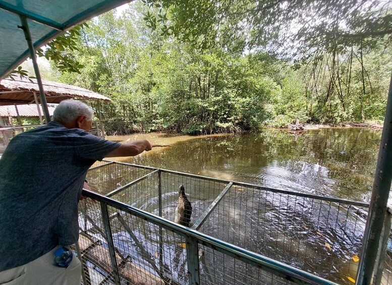 Picture 10 for Activity From Ho Chi Minh: Can Gio Mangrove Forest & Monkey Island