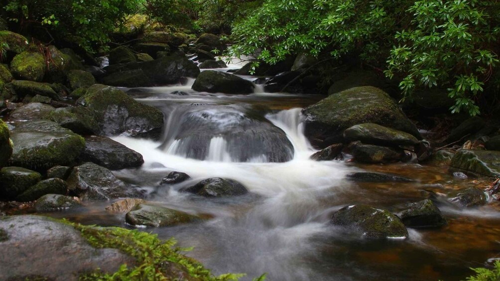 Picture 6 for Activity Ring of Kerry Full-Day Tour from Limerick