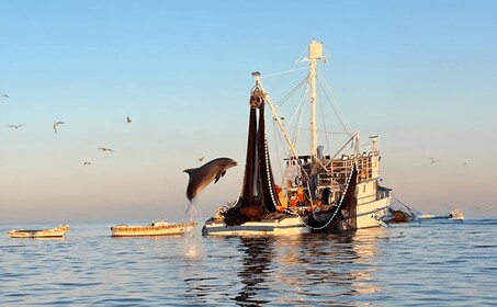 Rovinj: Sunrise Dolphins & Fishermen at Work Speedboat Tour