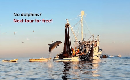 Rovinj: Sunrise Dolphins & Fishermen at Work Speedboat Tour