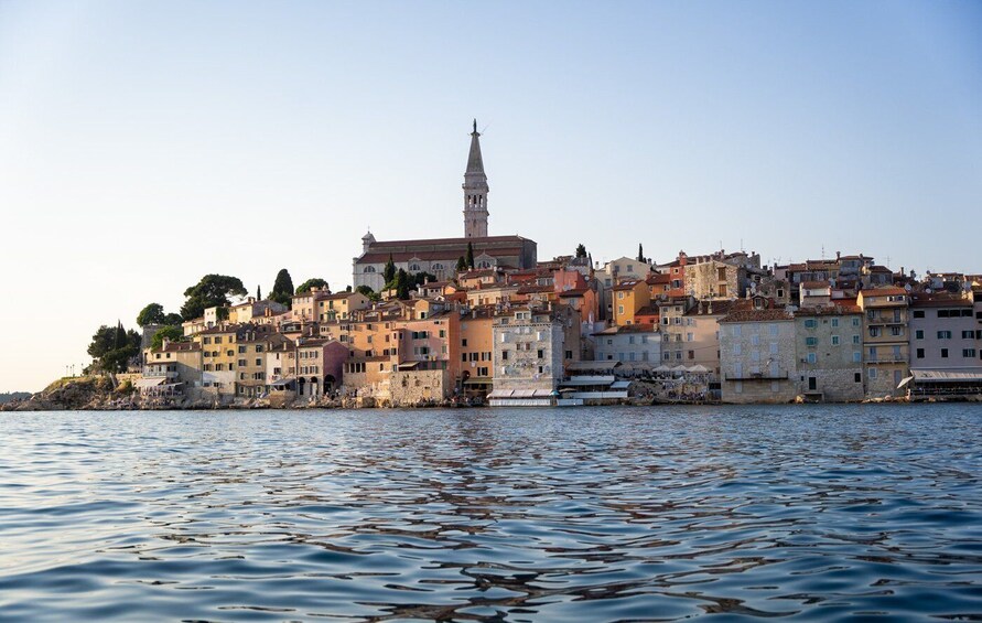 Picture 24 for Activity Rovinj: Sunrise Dolphin-Watching Speedboat Tour