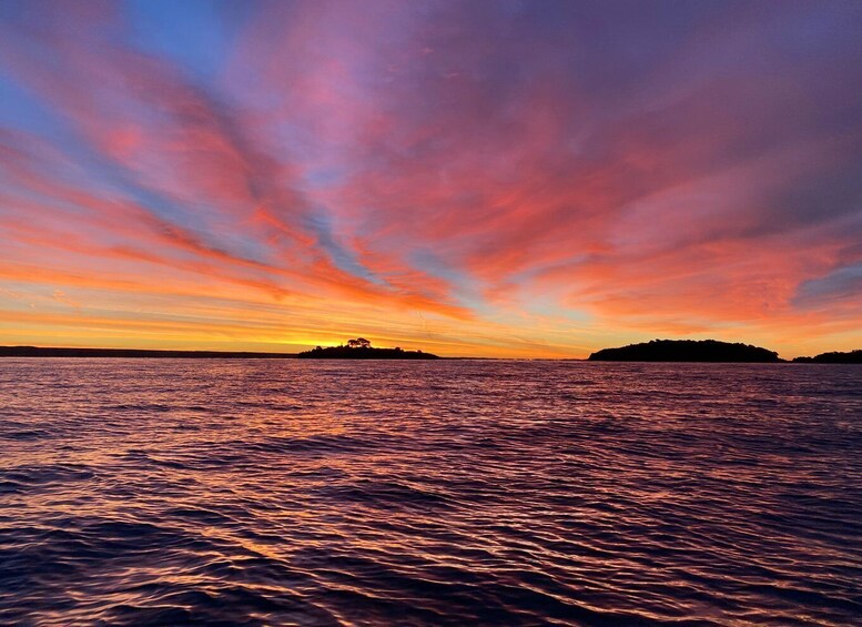 Picture 6 for Activity Rovinj: Sunrise Dolphins & Fishermen at Work Speedboat Tour