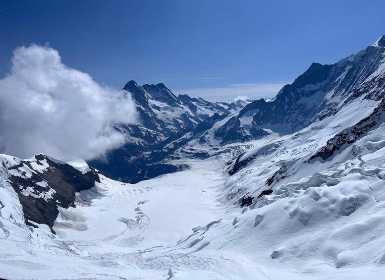 Day tour to "Top of Europe" Jungfraujoch, incl. Swiss picnic