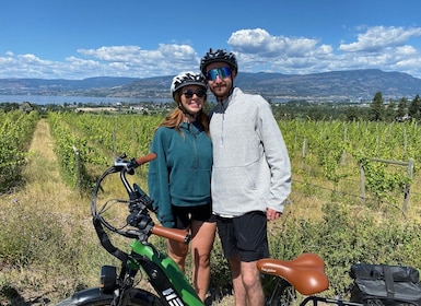 Kelowna: Wine Tasting by E-bike, Smartphone Guide & Lunch