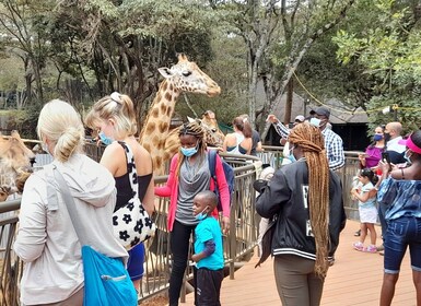 Desde Nairobi: recorrido por el orfanato de elefantes y el centro de jirafa...