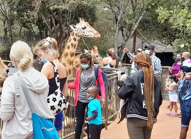 Von Nairobi aus: Elefantenwaisenhaus und Giraffenzentrum Tour