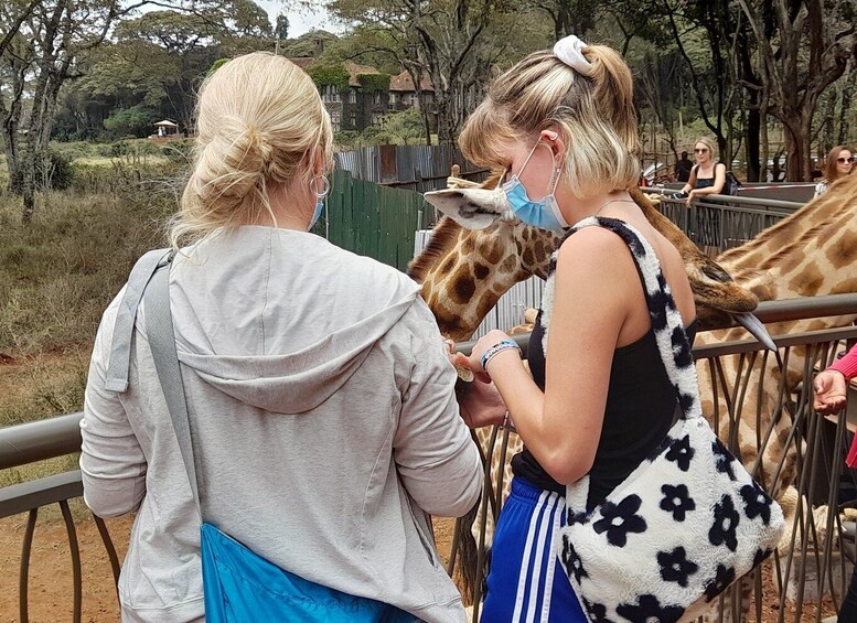 Picture 8 for Activity From Nairobi: Elephant Orphanage and Giraffe Center Tour