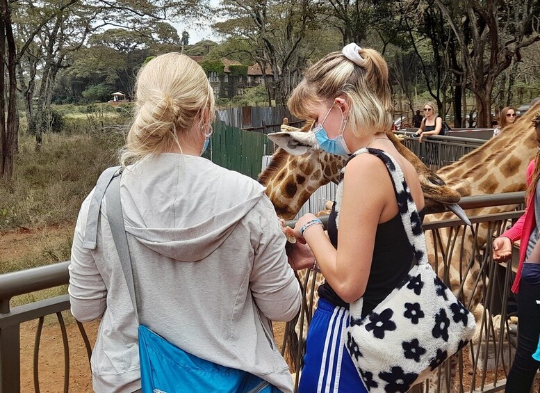 Picture 8 for Activity From Nairobi: Elephant Orphanage and Giraffe Center Tour