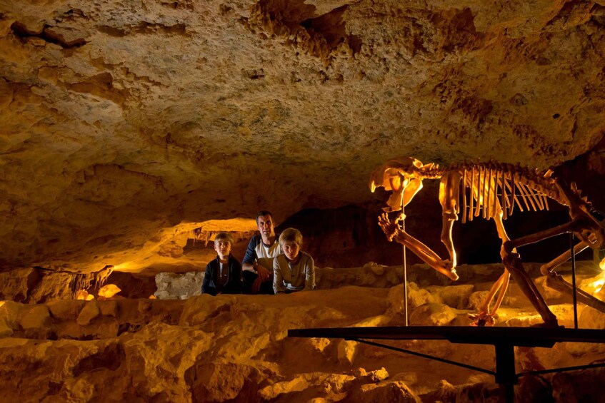 Picture 5 for Activity Coonawarra: Caves, Cabernet, & Kangaroos Day Tour & Lunch