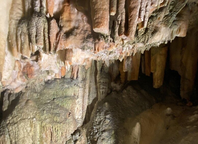 Picture 1 for Activity Melissani lake-Antisamos beach-Robola winery