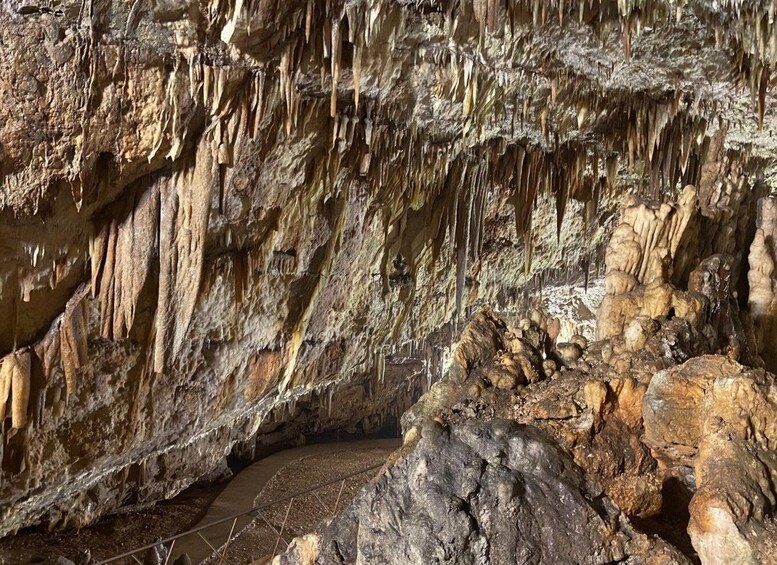 Picture 6 for Activity Melissani lake-Antisamos beach-Robola winery