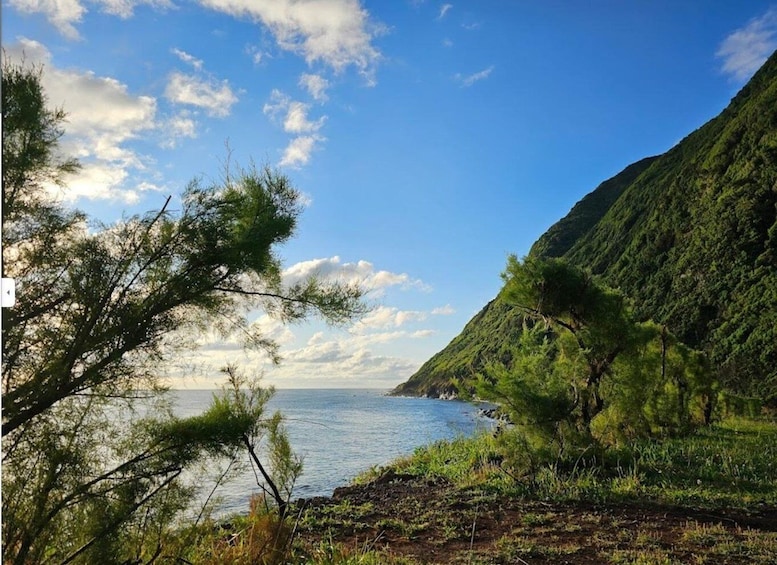 Picture 2 for Activity São Jorge: Island Round Trip Up to 7Hours.