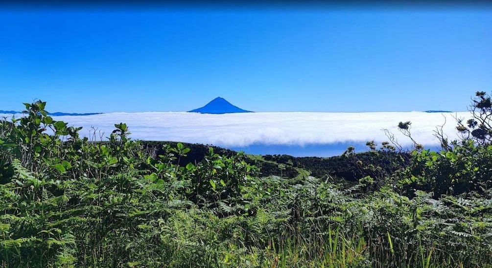 São Jorge: Island Round Trip Up to 7Hours.