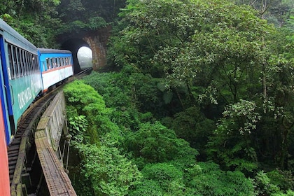 Scenic Rails: Curitiba to Morretes Adventure by train