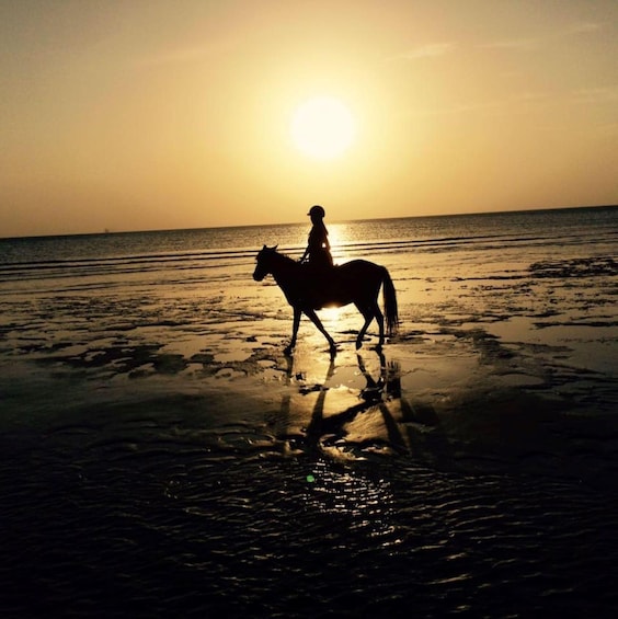 Picture 7 for Activity Snorkel with Sea Turtles, Horseback Riding