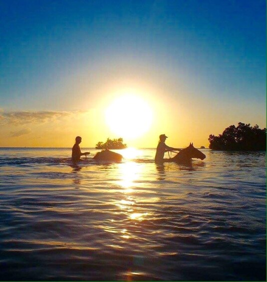 Picture 4 for Activity Snorkel with Sea Turtles, Horseback Riding