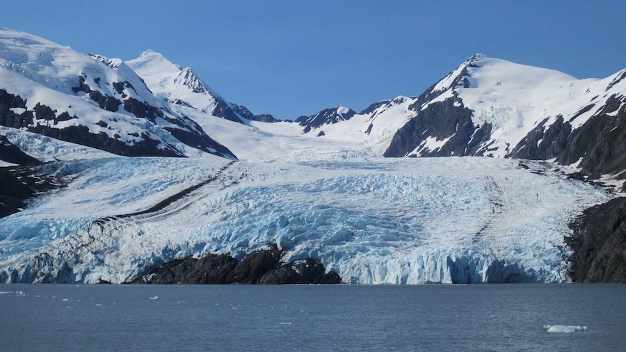 Anchorage: Glacier and Wildlife Explorer Cruise