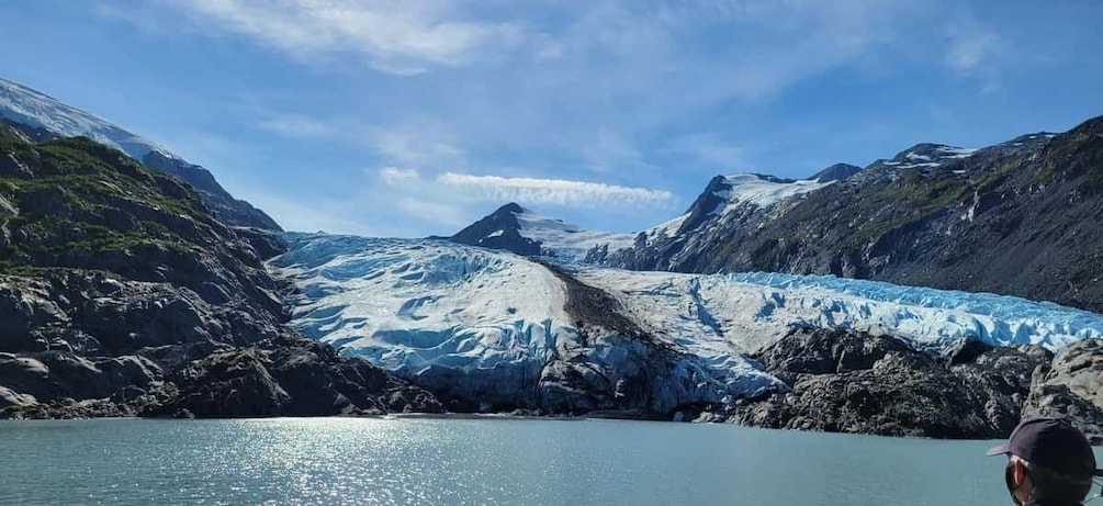 Picture 3 for Activity Anchorage: Glacier and Wildlife Explorer Cruise