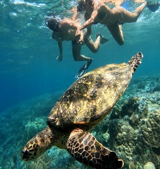 Picture 3 for Activity Island Hopping Gili Asahan, Gede, Rengit, Layar & Goleng