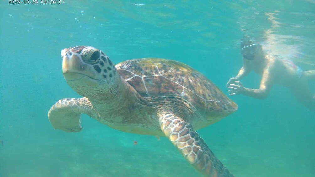 Picture 28 for Activity Snorkeling Trip from Polhena Beach, Matara, Sri Lanka