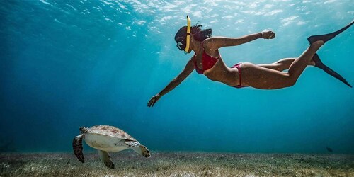 Snorkelling Trip from Polhena Beach, Matara, Sri Lanka