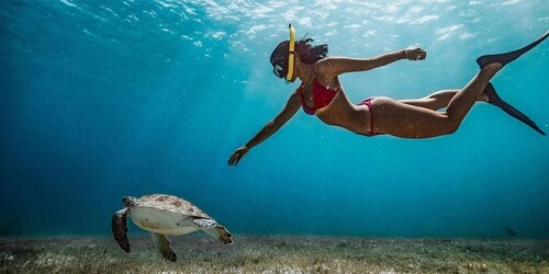 Snorkelling Trip from Polhena Beach, Matara, Sri Lanka