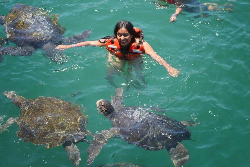 Picture 2 for Activity Tumbes: Beach Circuit and Swimming with Turtles