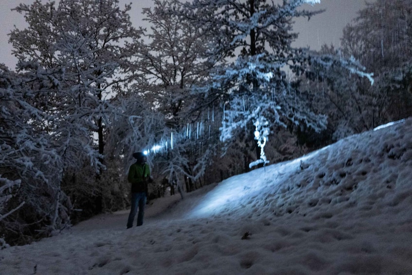 Picture 2 for Activity The Dolomites at night with snowshoes