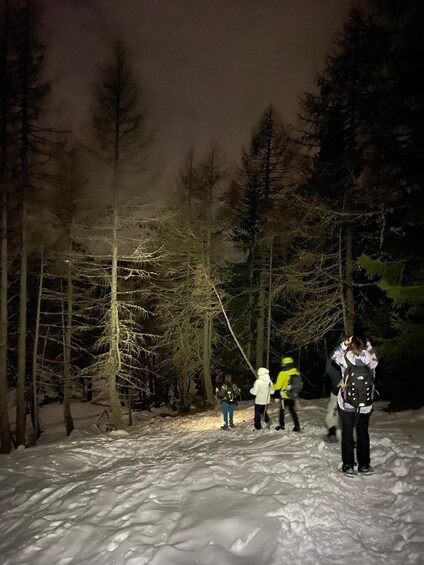 Picture 5 for Activity The Dolomites at night with snowshoes