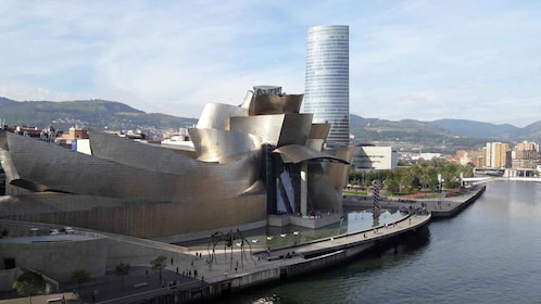Desde San Sebastián: Visita Privada Bilbao y Museo Guggenheim