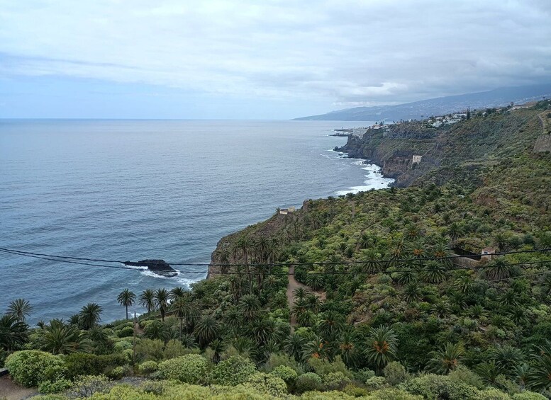 Picture 11 for Activity Tenerife: North Coast Landscapes Private Day Tour