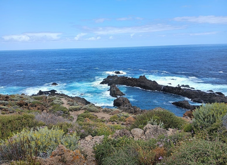 Picture 4 for Activity Tenerife: North Coast Landscapes Private Day Tour