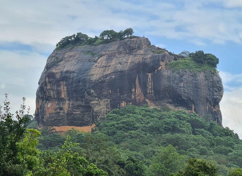 Picture 2 for Activity From Kandy: Sigiriya Rock Dambulla & Minneriya Jeep Safari