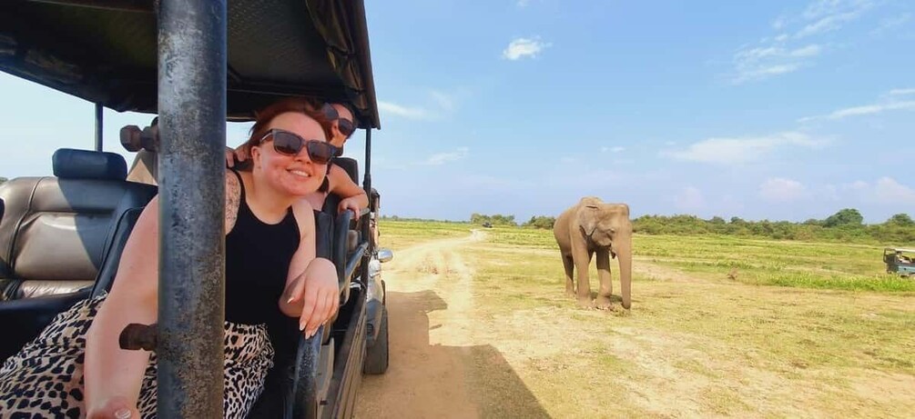 Picture 13 for Activity From Kandy: Sigiriya Rock Dambulla & Minneriya Jeep Safari