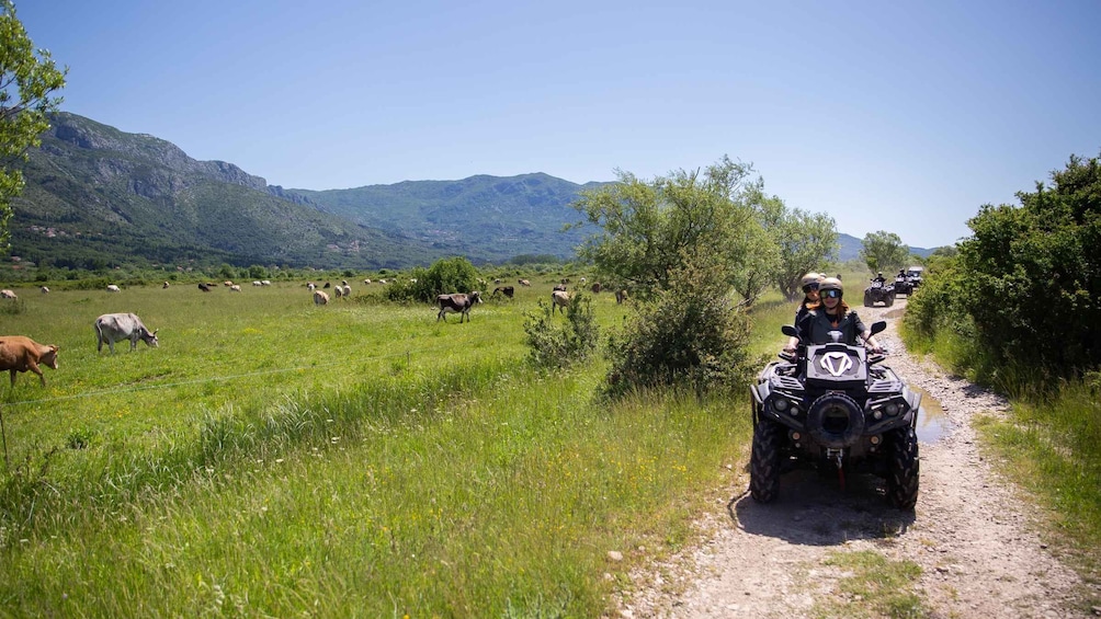 Picture 3 for Activity Dubrovnik: Kojan Koral ATV Quad Safari