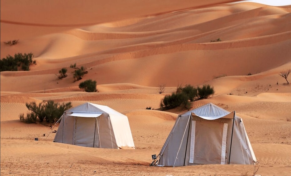 Picture 5 for Activity From Tozeur: Overnight Private Sahara Desert Safari