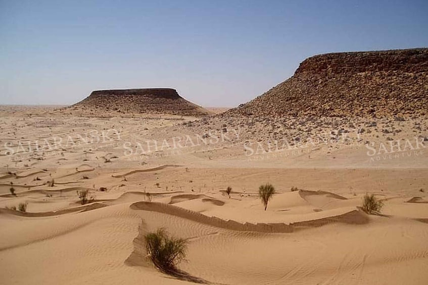 From Tozeur: Overnight Private Sahara Desert Safari