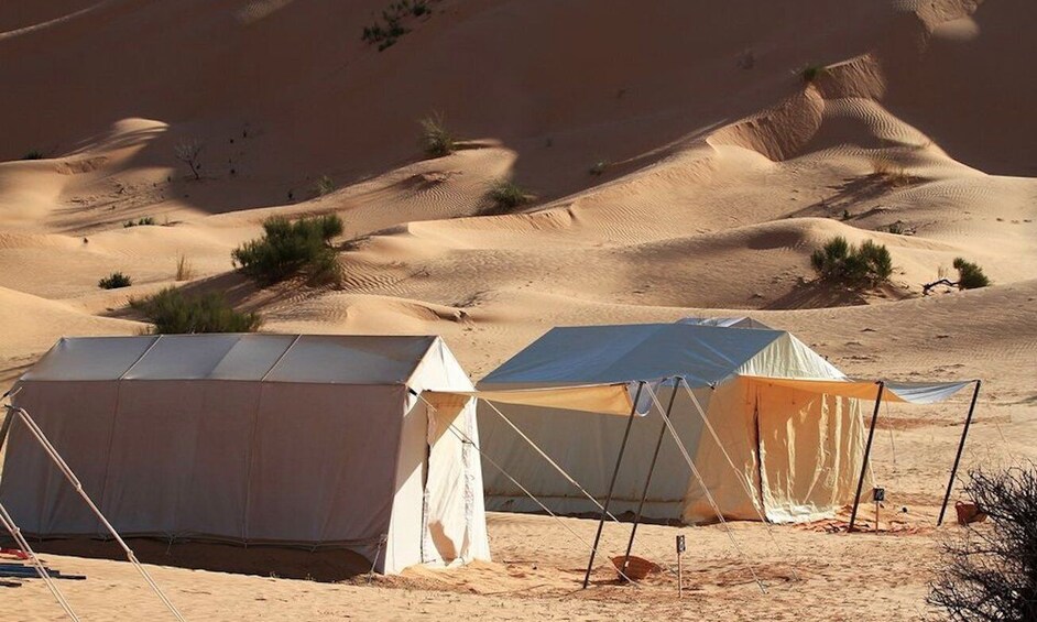 Picture 3 for Activity From Tozeur: Overnight Private Sahara Desert Safari